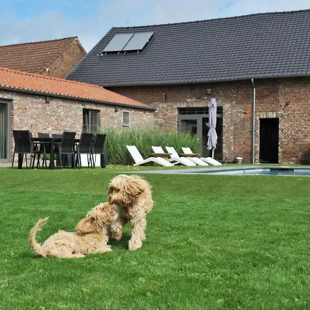 Countryside With Shared Pool * Eisden